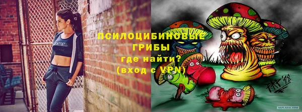 а пвп мука Алзамай