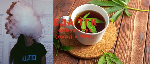 индика Елизово