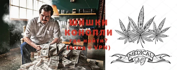 spice Алексин