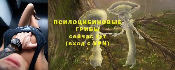 а пвп мука Алзамай