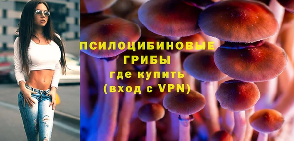 spice Алексин