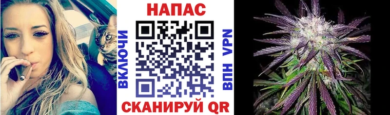 Канабис планчик  дарк нет официальный сайт  Курчалой 